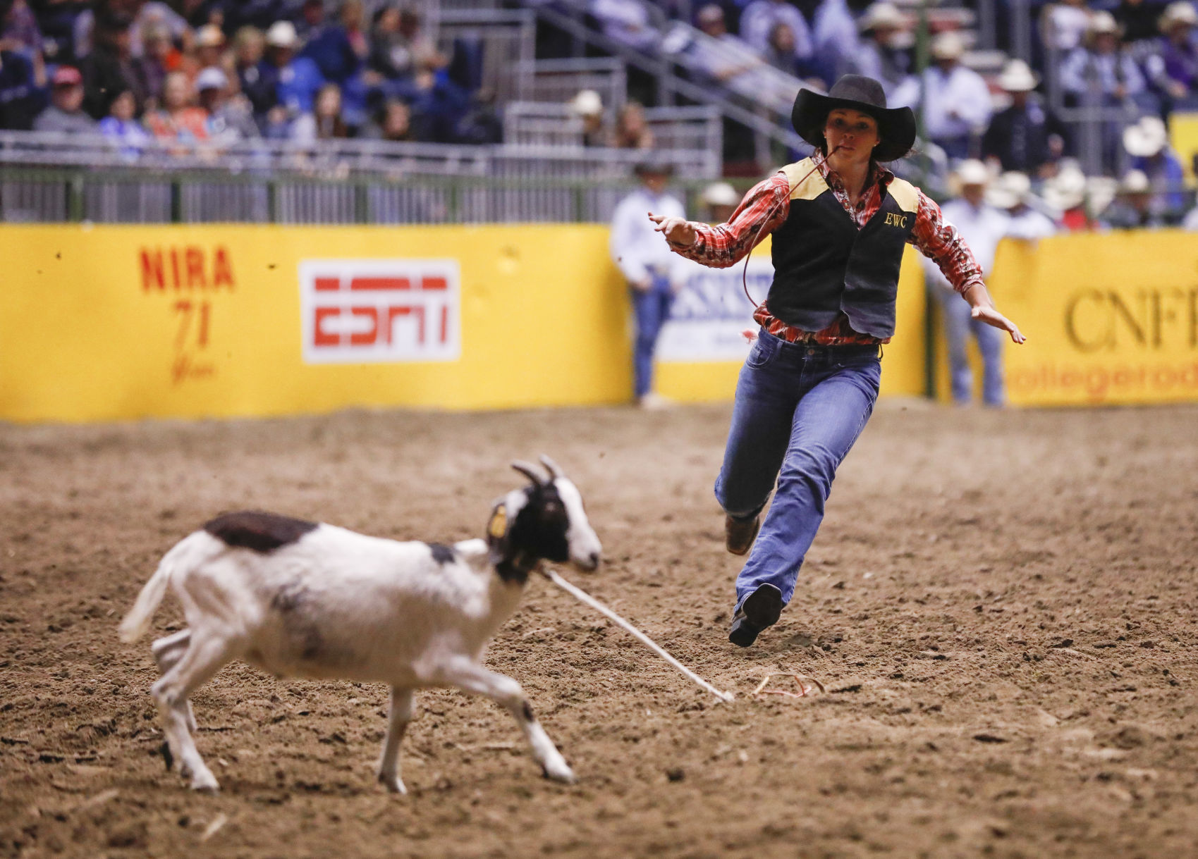 CNFR - Tuesday